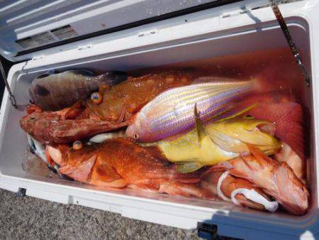 第二一之紀丸（ダイニイチノキマル） 釣果