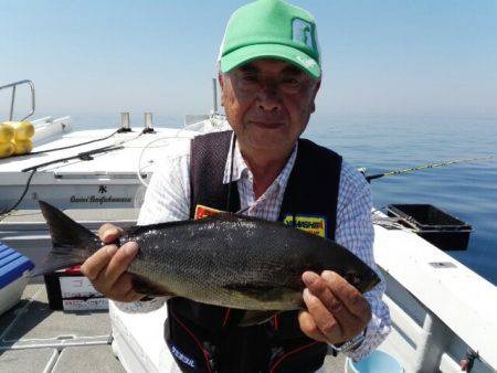 第二大福丸 釣果