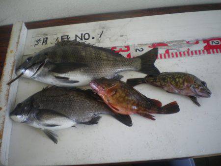 姫路市立遊魚センター 釣果