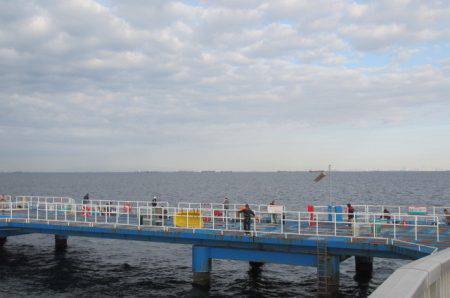 オリジナルメーカー海づり公園(市原市海づり施設) 釣果