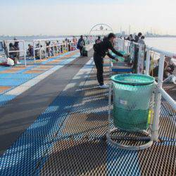 オリジナルメーカー海づり公園(市原市海づり施設) 釣果