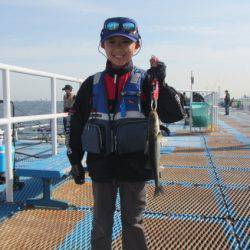 オリジナルメーカー海づり公園(市原市海づり施設) 釣果