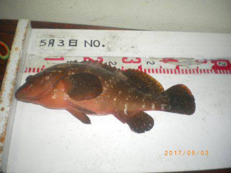 姫路市立遊魚センター 釣果