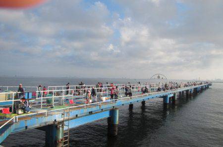 オリジナルメーカー海づり公園(市原市海づり施設) 釣果