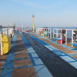 オリジナルメーカー海づり公園(市原市海づり施設) 釣果