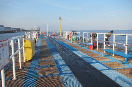 オリジナルメーカー海づり公園(市原市海づり施設) 釣果