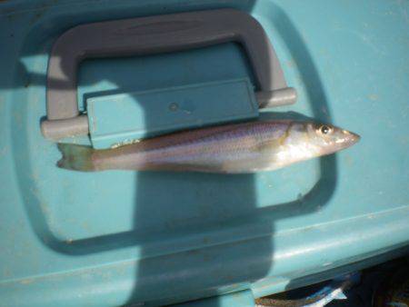 オリジナルメーカー海づり公園(市原市海づり…