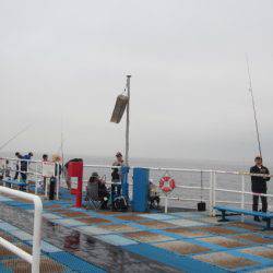 オリジナルメーカー海づり公園(市原市海づり施設) 釣果