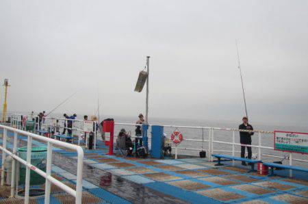 オリジナルメーカー海づり公園(市原市海づり施設) 釣果