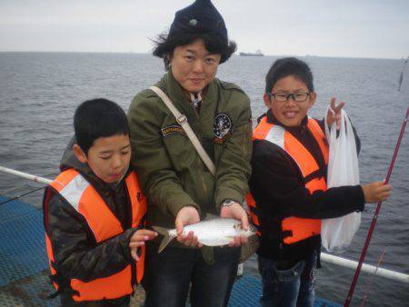 オリジナルメーカー海づり公園(市原市海づり施設) 釣果