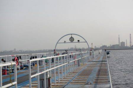 オリジナルメーカー海づり公園(市原市海づり施設) 釣果