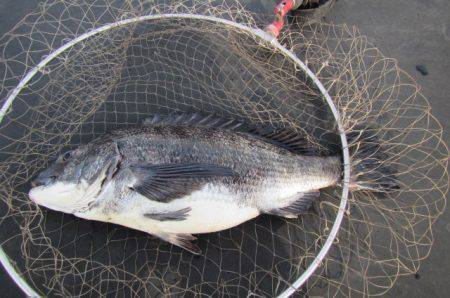 オリジナルメーカー海づり公園(市原市海づり…