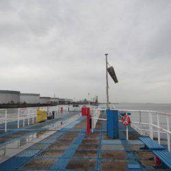 オリジナルメーカー海づり公園(市原市海づり施設) 釣果