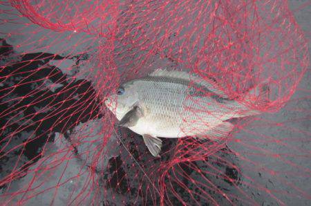 オリジナルメーカー海づり公園(市原市海づり…