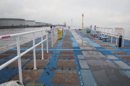 オリジナルメーカー海づり公園(市原市海づり施設) 釣果