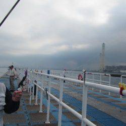 オリジナルメーカー海づり公園(市原市海づり施設) 釣果