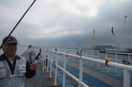 オリジナルメーカー海づり公園(市原市海づり施設) 釣果