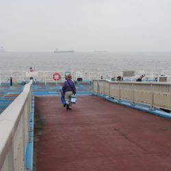 オリジナルメーカー海づり公園(市原市海づり施設) 釣果