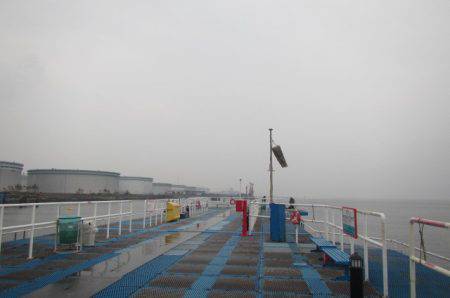 オリジナルメーカー海づり公園(市原市海づり施設) 釣果