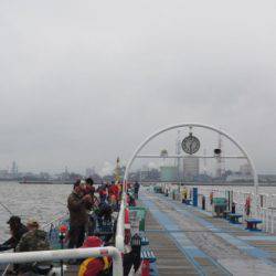 オリジナルメーカー海づり公園(市原市海づり施設) 釣果