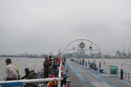 オリジナルメーカー海づり公園(市原市海づり施設) 釣果