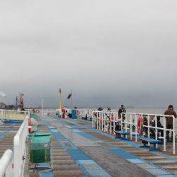 オリジナルメーカー海づり公園(市原市海づり施設) 釣果