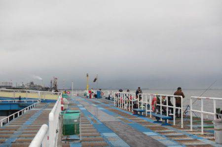 オリジナルメーカー海づり公園(市原市海づり施設) 釣果