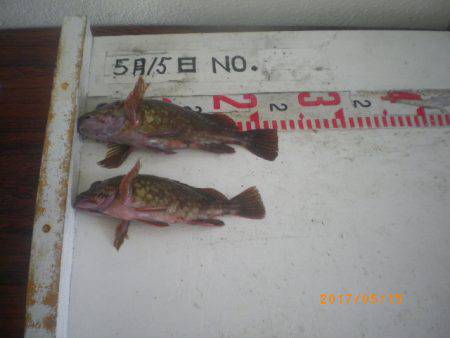 姫路市立遊魚センター 釣果