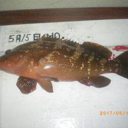 姫路市立遊魚センター 釣果