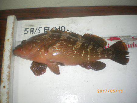 姫路市立遊魚センター 釣果