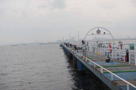 オリジナルメーカー海づり公園(市原市海づり施設) 釣果