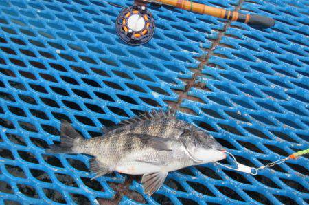 オリジナルメーカー海づり公園(市原市海づり…