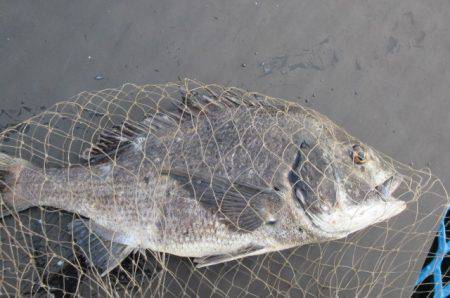 オリジナルメーカー海づり公園(市原市海づり…