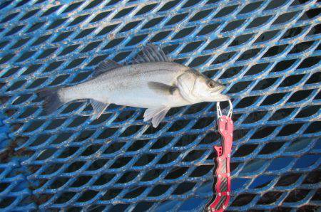 オリジナルメーカー海づり公園(市原市海づり…