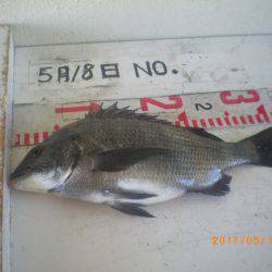 姫路市立遊魚センター 釣果