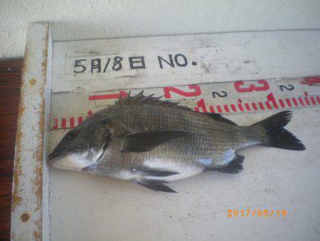 姫路市立遊魚センター 釣果