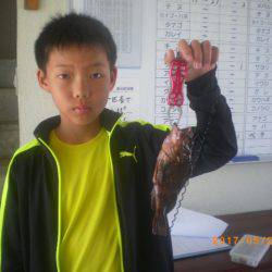 姫路市立遊魚センター 釣果