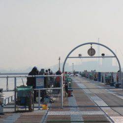 オリジナルメーカー海づり公園(市原市海づり施設) 釣果