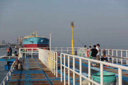 オリジナルメーカー海づり公園(市原市海づり施設) 釣果