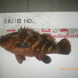 姫路市立遊魚センター 釣果