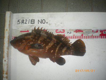 姫路市立遊魚センター 釣果