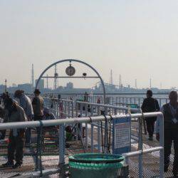 オリジナルメーカー海づり公園(市原市海づり施設) 釣果