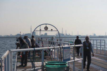 オリジナルメーカー海づり公園(市原市海づり施設) 釣果