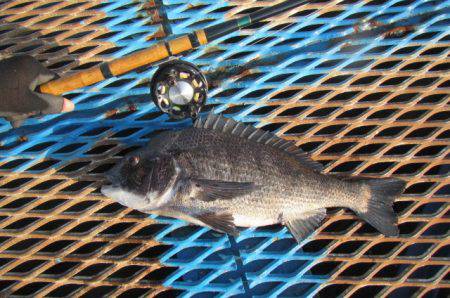 オリジナルメーカー海づり公園(市原市海づり…