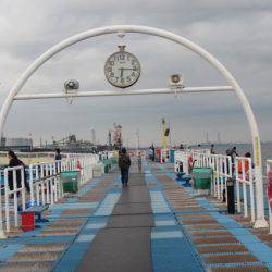 オリジナルメーカー海づり公園(市原市海づり施設) 釣果