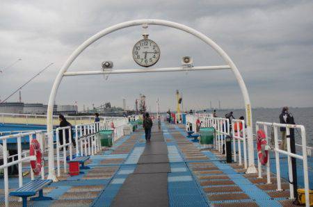 オリジナルメーカー海づり公園(市原市海づり施設) 釣果