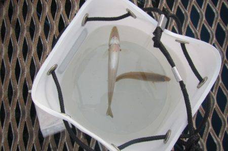 オリジナルメーカー海づり公園(市原市海づり…