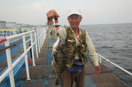 オリジナルメーカー海づり公園(市原市海づり施設) 釣果