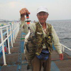 オリジナルメーカー海づり公園(市原市海づり施設) 釣果