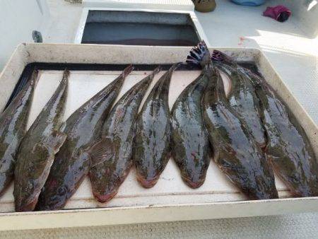 Magic(マジック) 釣果